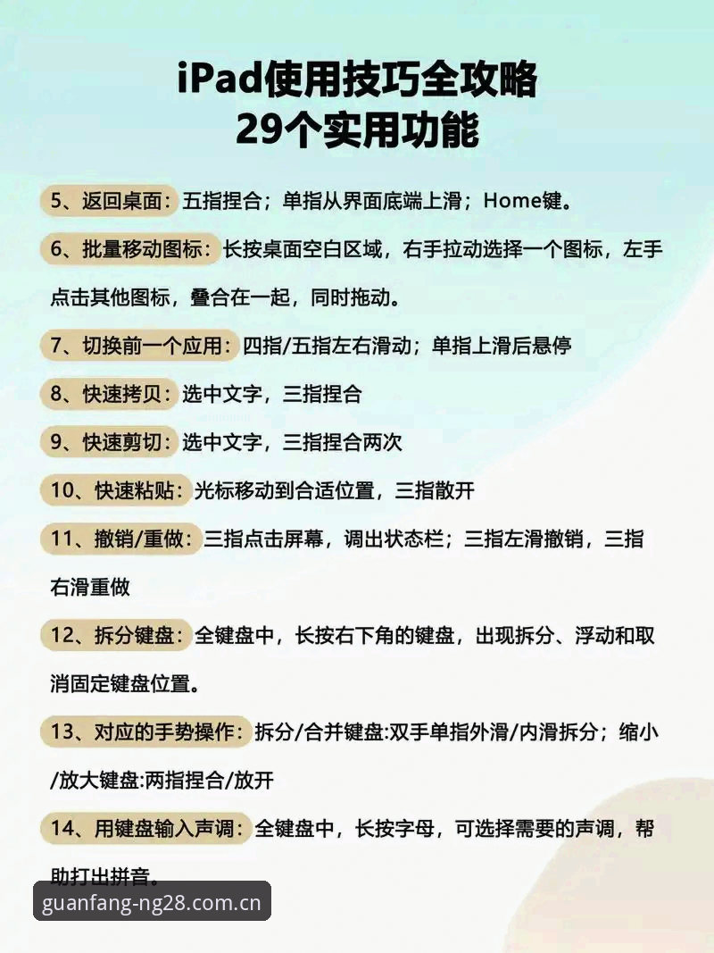 南宫28平台综合服务使用指南：从入门到精通的完整教程